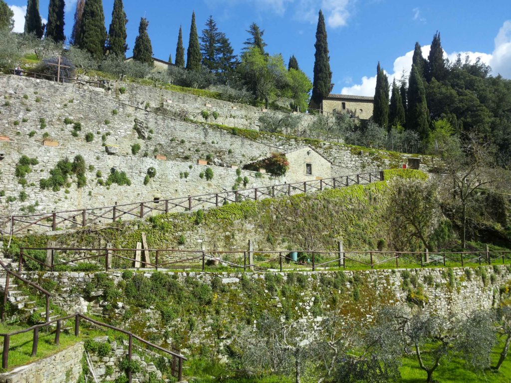 il sentiero di accesso tra i terrazzamenti con gli olivi