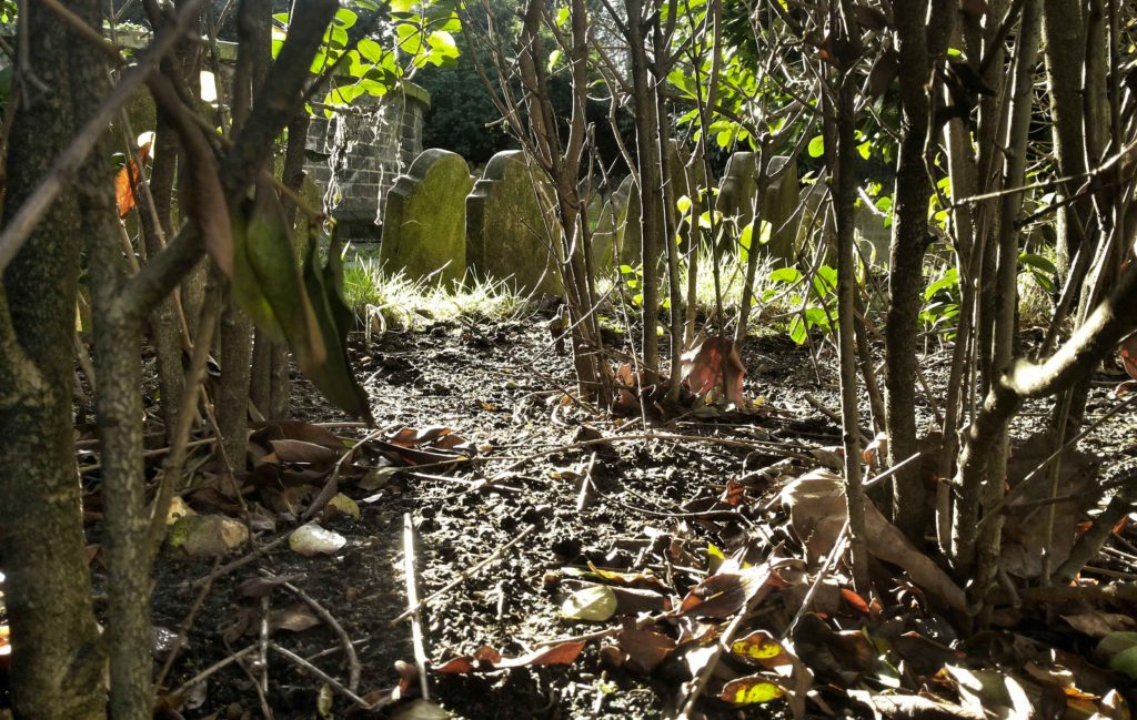 cimitero degli animali hyde park