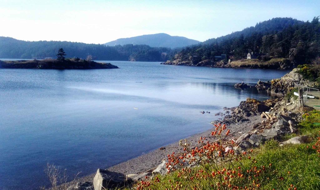 orcas island