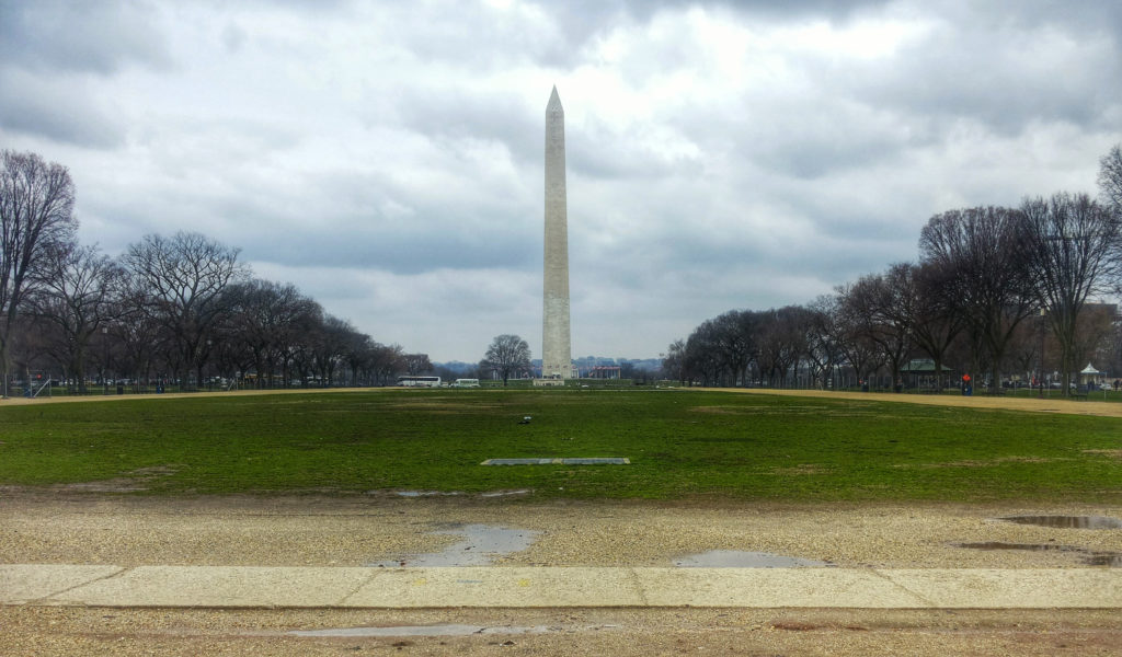 national mall con obelisco a washington DC