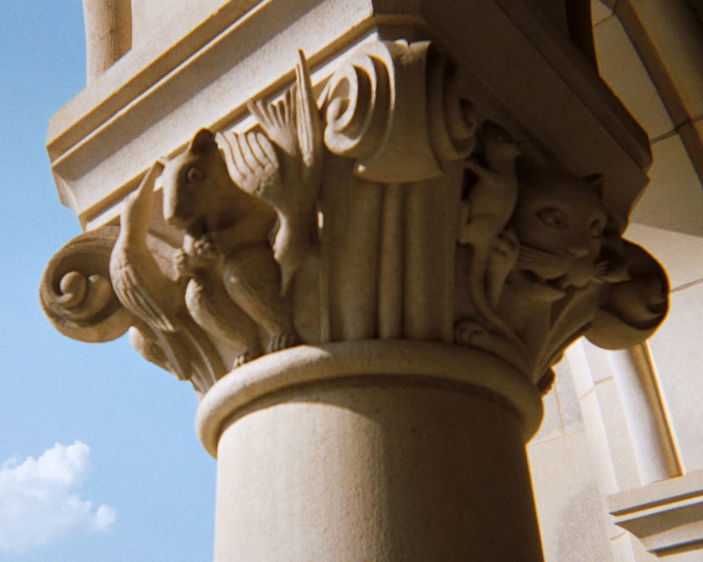 cattedrale di washington