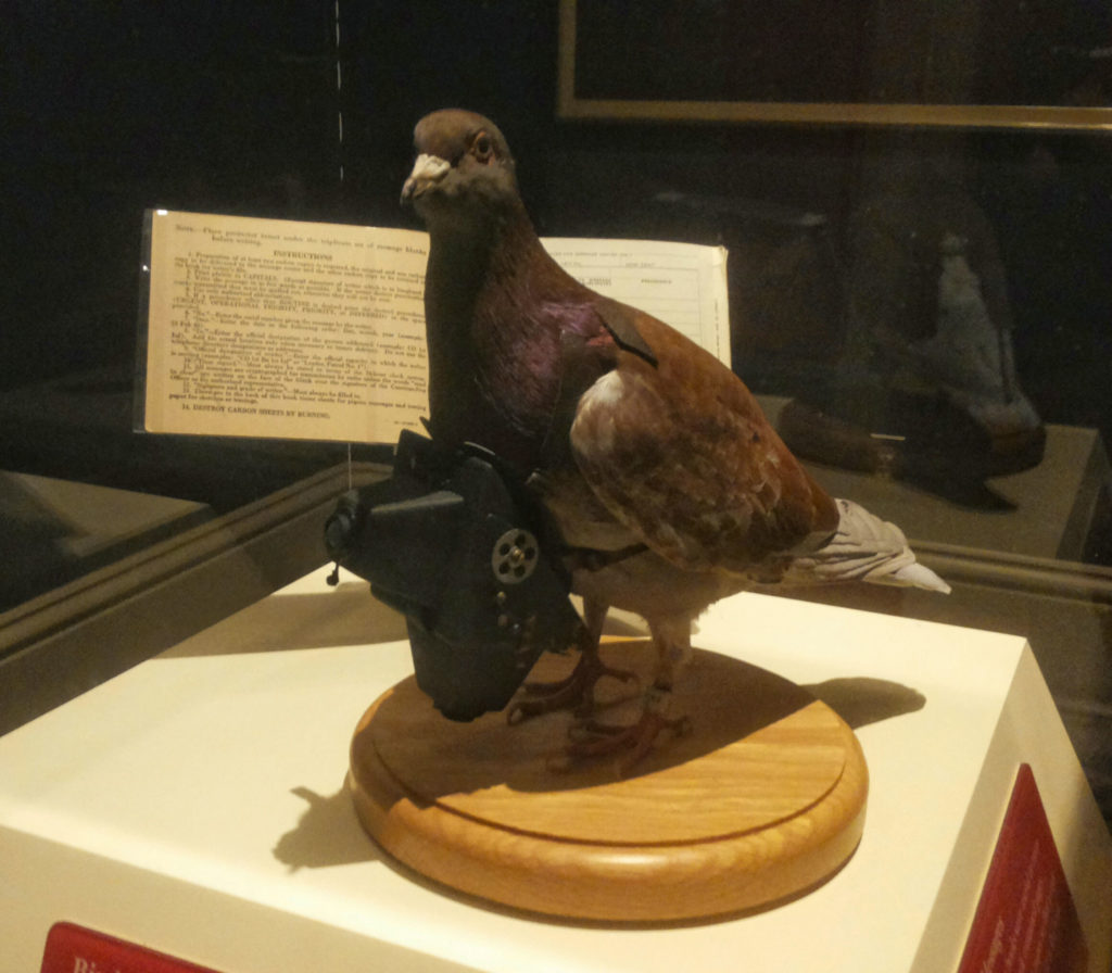 museo delle spie