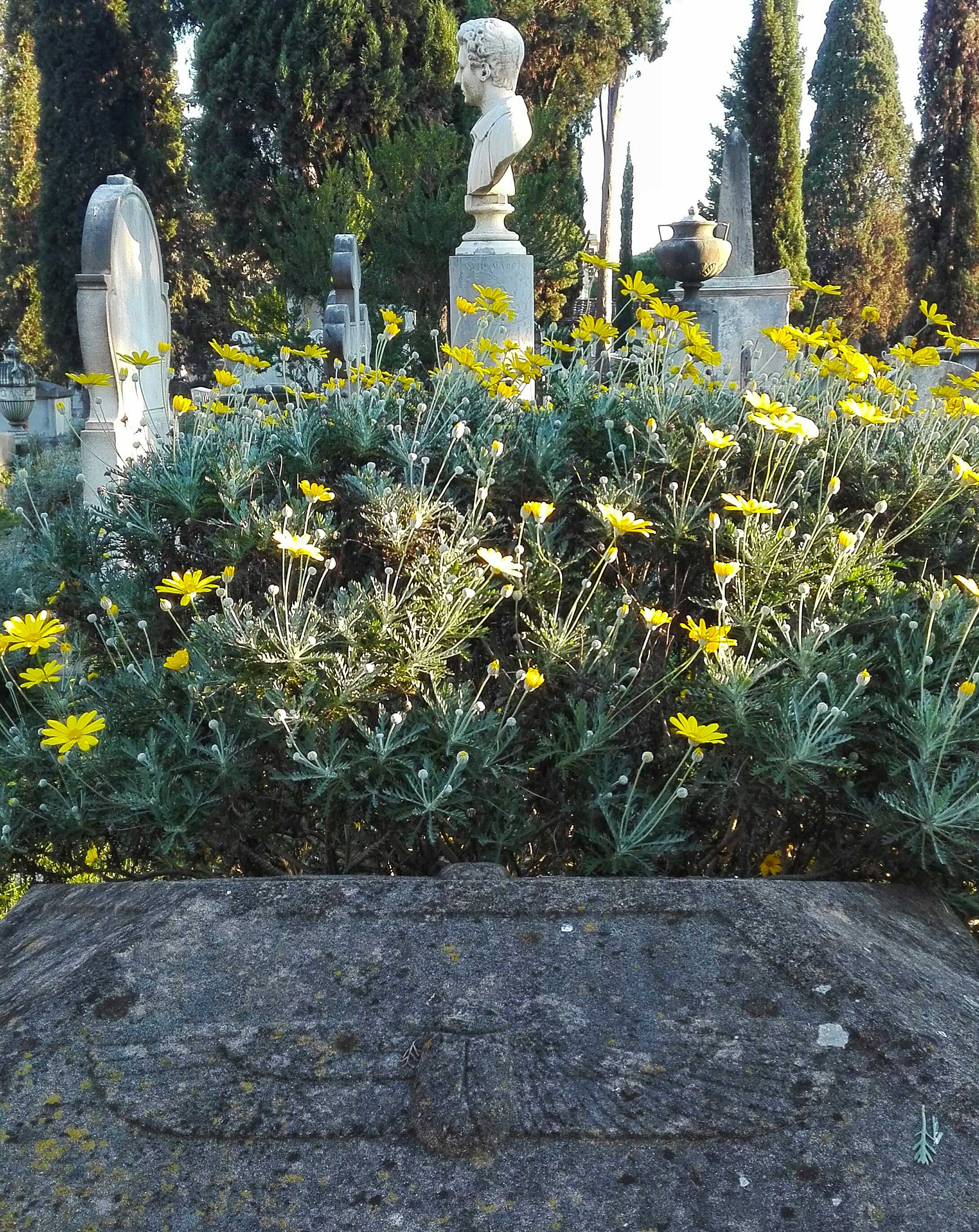 Cimitero degli inglesi Firenze