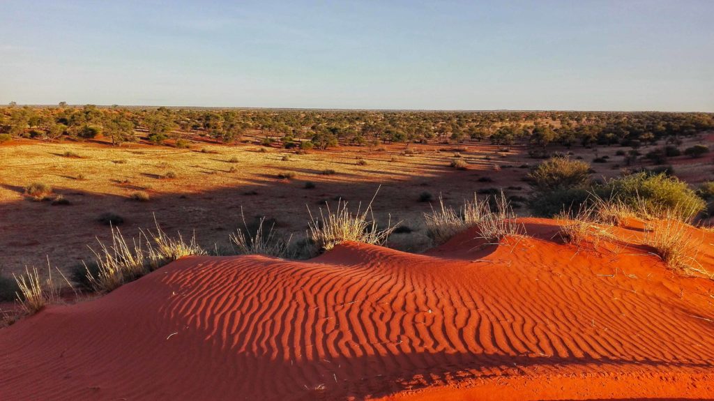 deserto del Kalahari