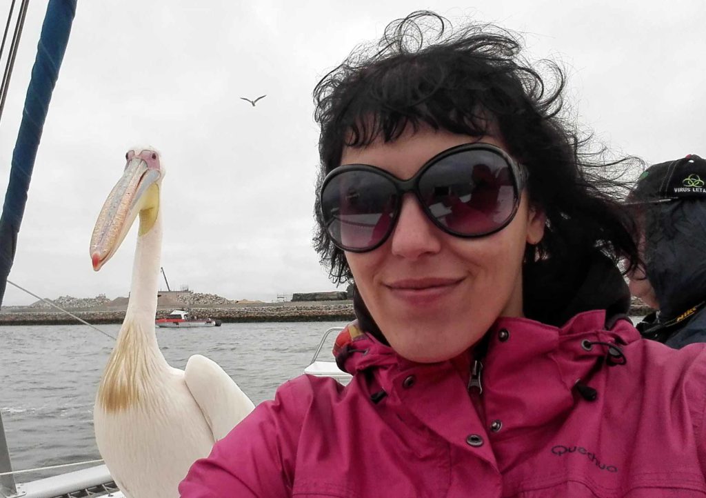 escursione a walvis bay