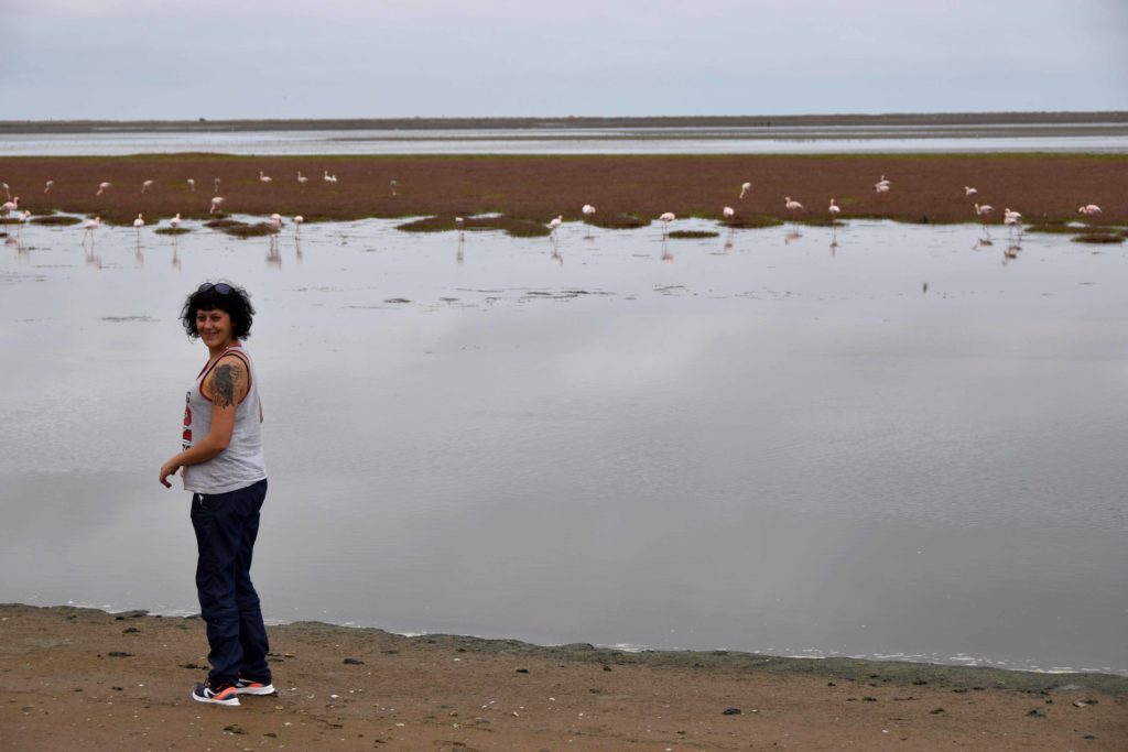 walvis bay fenicotteri