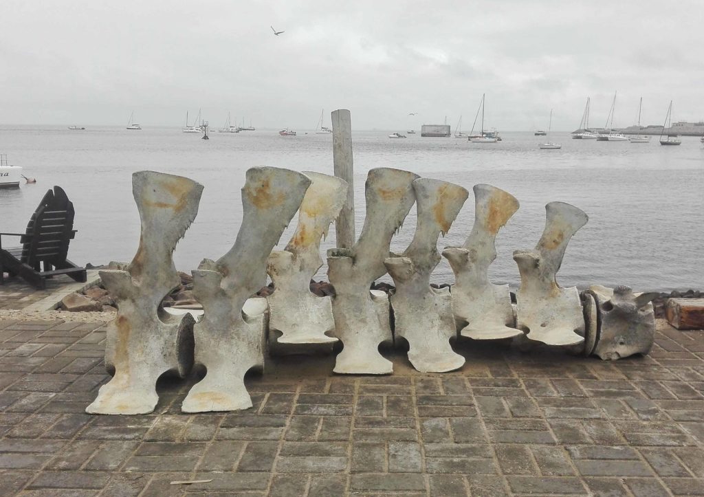 walvis bay namibia